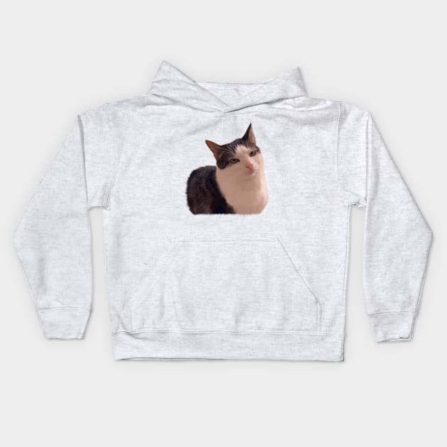 Sarcastic cat rolling eyes meme Kids Hoodie by PrimeStore